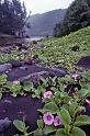 WT 0044 T06-20 Hawaii Pololu